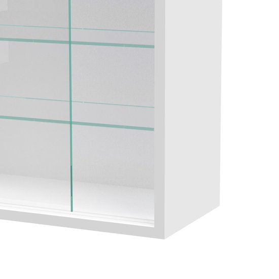 VDD Vitrine d'exposition murale suspendue - 60 x 105 x 20 cm