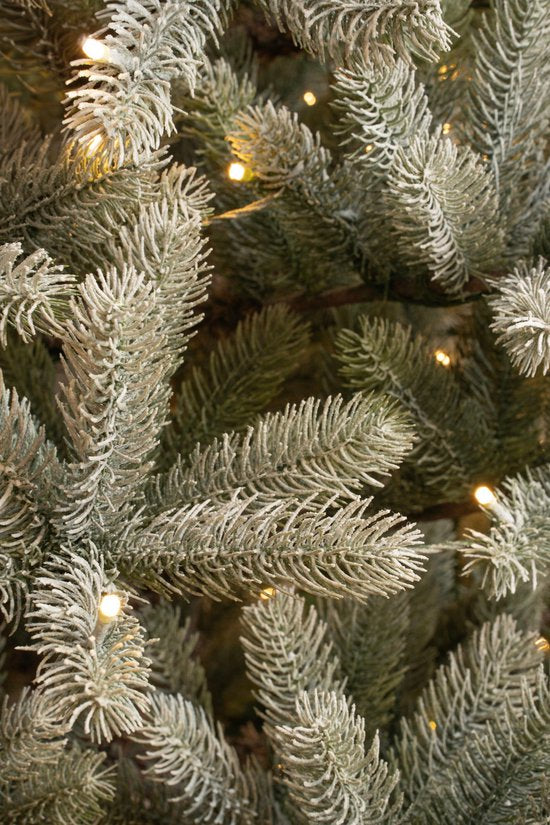 Black Box Trees Nagoya Artificial Christmas Tree with Warm White LED Lights - H180 x Ø108 cm - Green Frosted