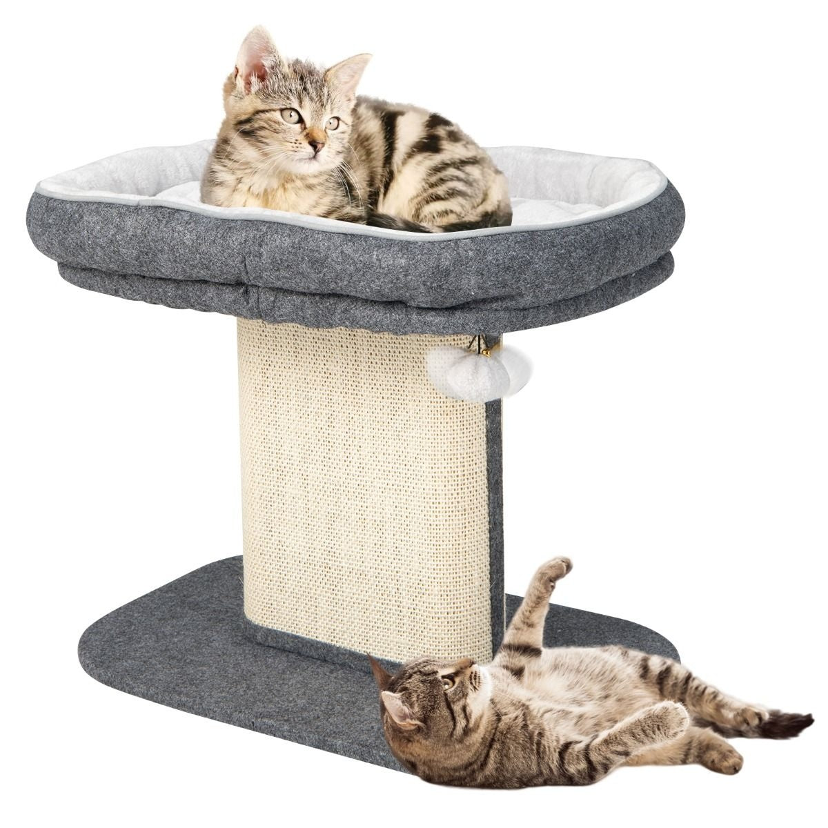 Arbre à griffes Coast Modern Meubles pour chats avec grand fauteuil en peluche et planche à griffes en sisal gris