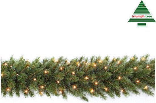 Triumph Tree Forest Guirlande givrée avec éclairage LED - L270 cm - Vert
