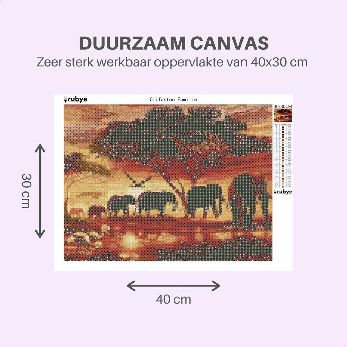 Rubye® Peinture au diamant adultes - Peinture au diamant enfants - Famille d'éléphants - 30x40cm