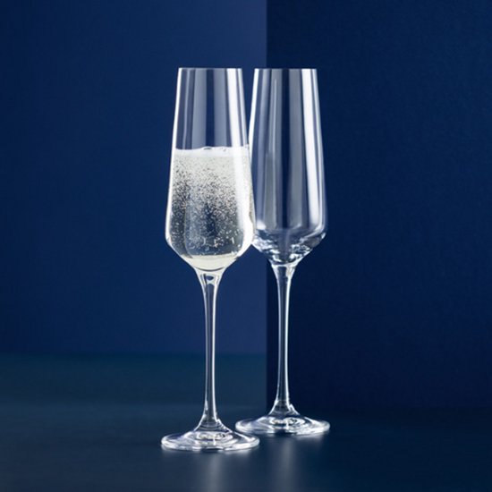 Lot de 2 verres à champagne – 200 ml – Design élégant avec pied allongé – Verres à champagne de luxe pour les occasions festives