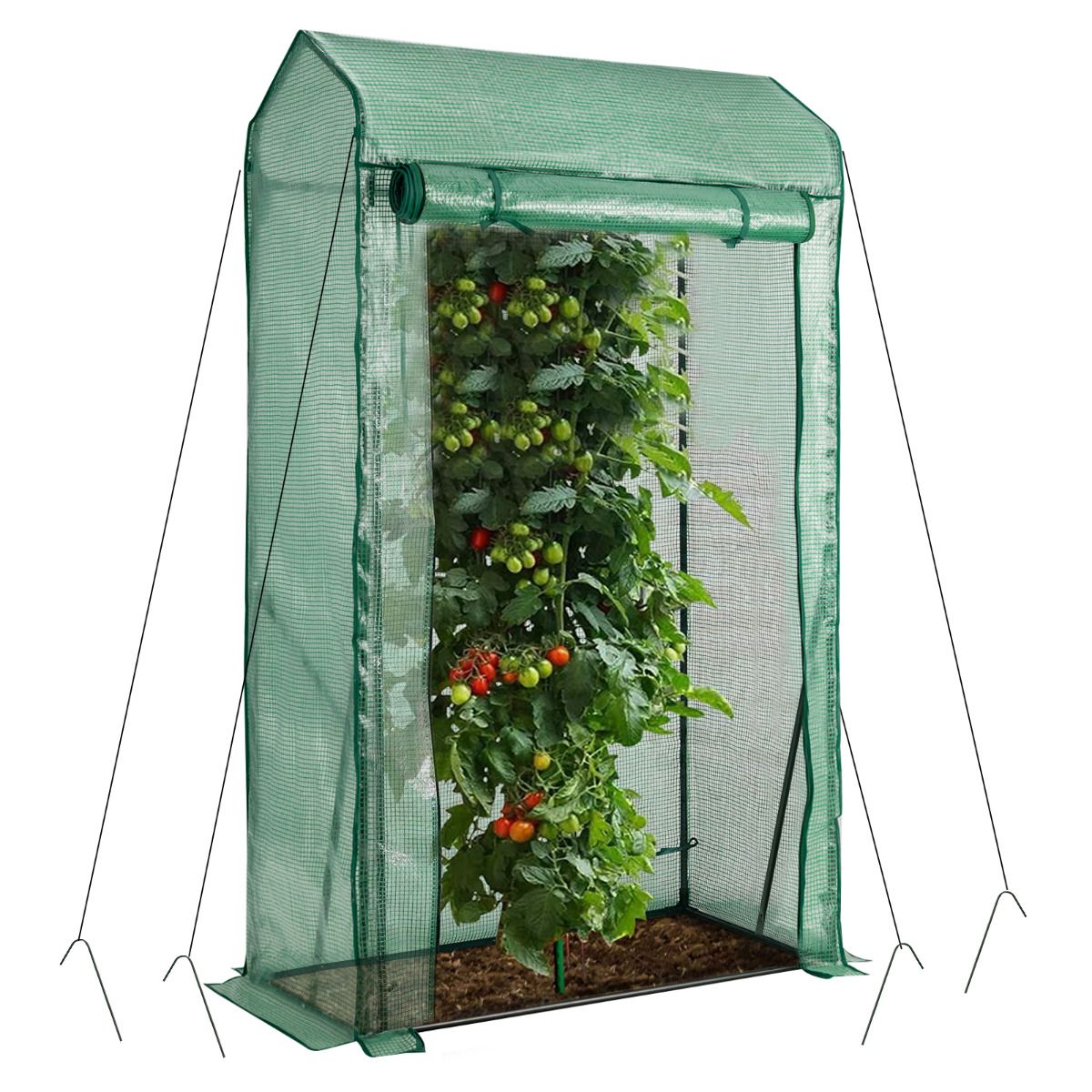Serre Coast Walk-in Garden - Porte à fermeture éclair pratique - 100 x 50 x 170 cm - Vert