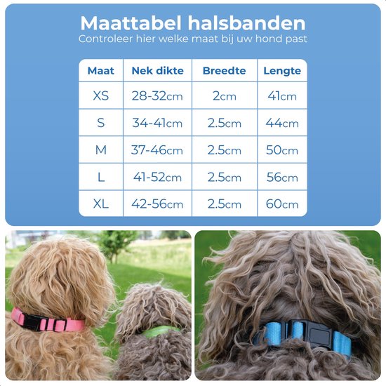 Collier lumineux pour chien - Extra fort - XS 28 cm à 38 cm - Collier pour chien - Collier à mousqueton - Ajustable - Réfléchissant