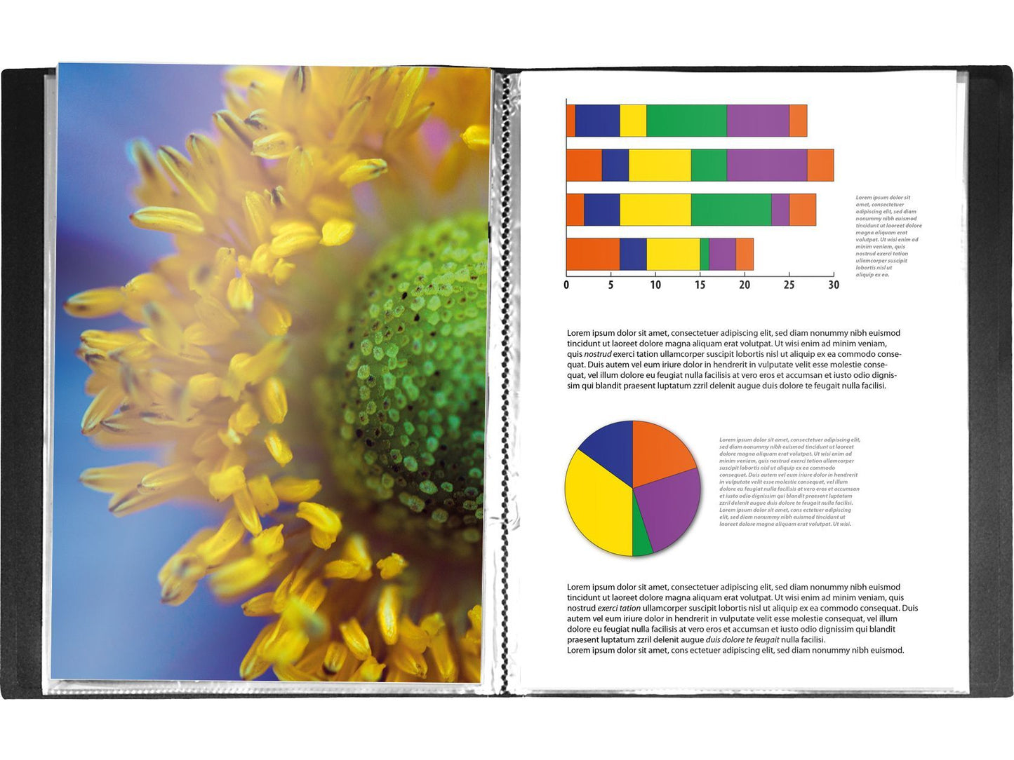 Album d'exposition Kangaro 10x A4 avec encart