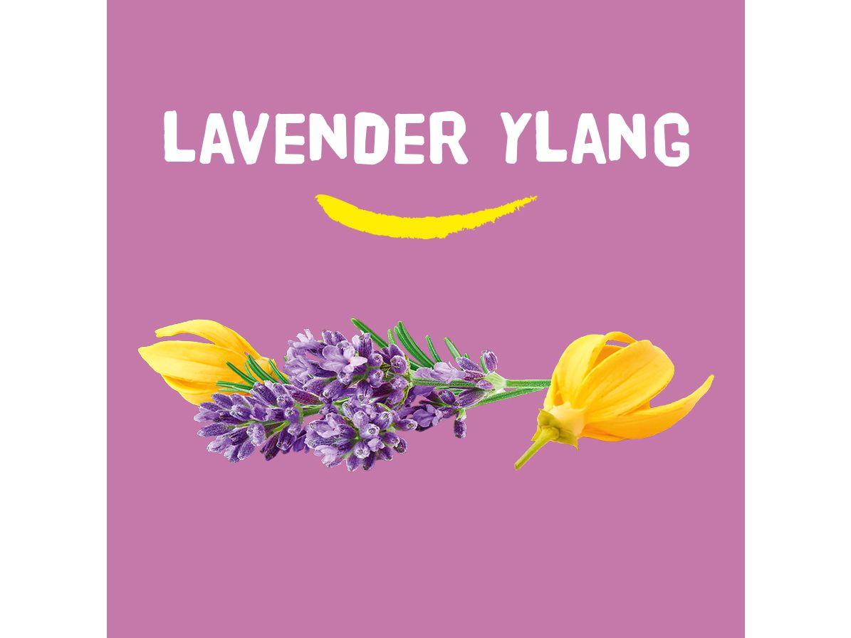 Happy Earth Shower Bar Naturel - Lavande & Ylang-ylang - Lot économique 6 x 90 grammes