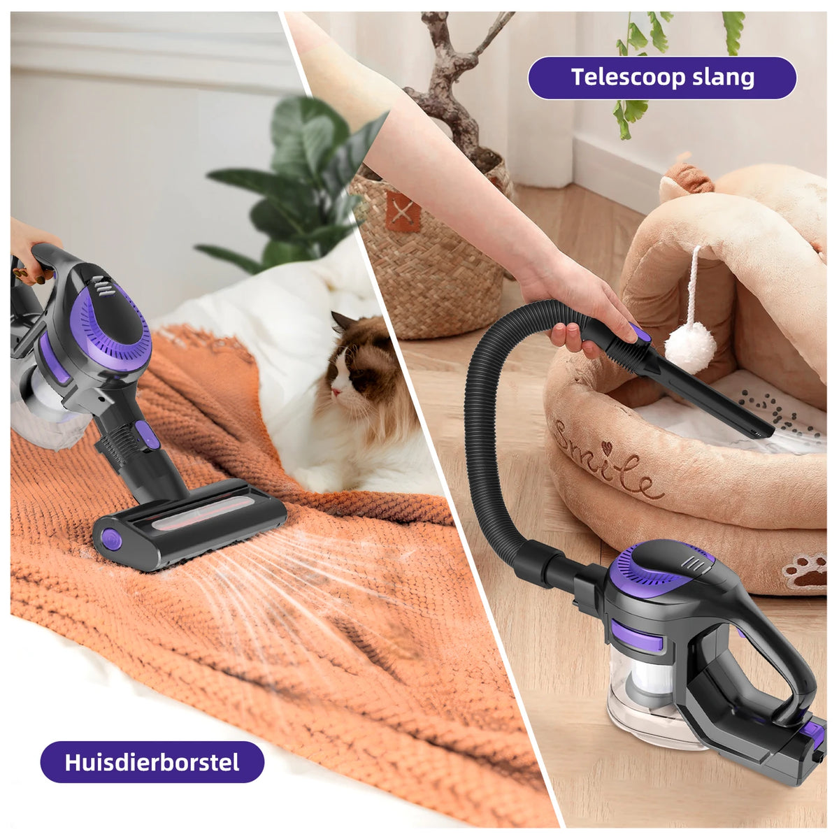 Aspirateur sans fil Daynee H75 - Puissance d'aspiration de 55 000 Pa - Violet - Filtration HEPA - Tuyau et brosse pour animaux - 44 x 30 x 19 cm