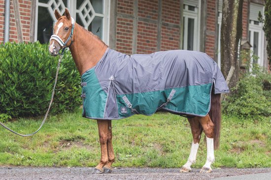KANTRIE Tapis d'extérieur pour chevaux - TX 135 cm - Gris/vert