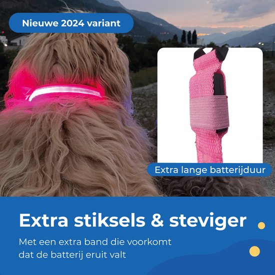 Dutchwide Collier lumineux pour chien - Extra fort - S 34 cm à 41 cm