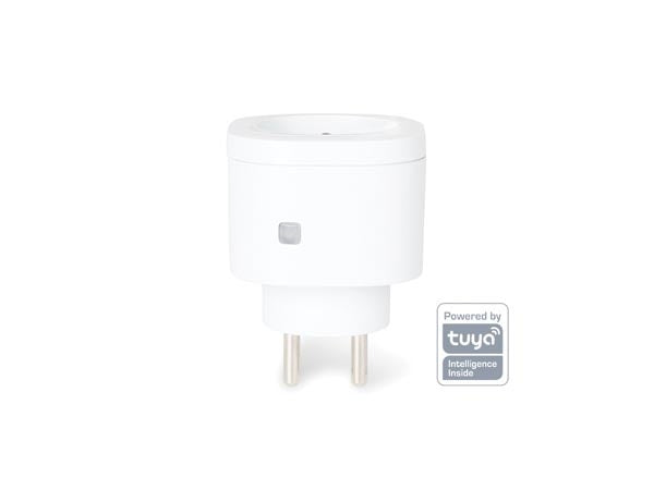 Renne avec traîneau - éclairage de Noël - avec Perel Smart home Wifi plug pour l'intérieur - pour Android & IOS