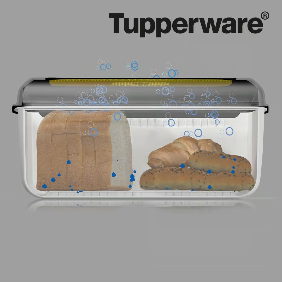 Boîte à pain Tupperware BreadSmart - Avec séparateur pratique - 100 % sans BPA - Préserve la fraîcheur du pain plus longtemps