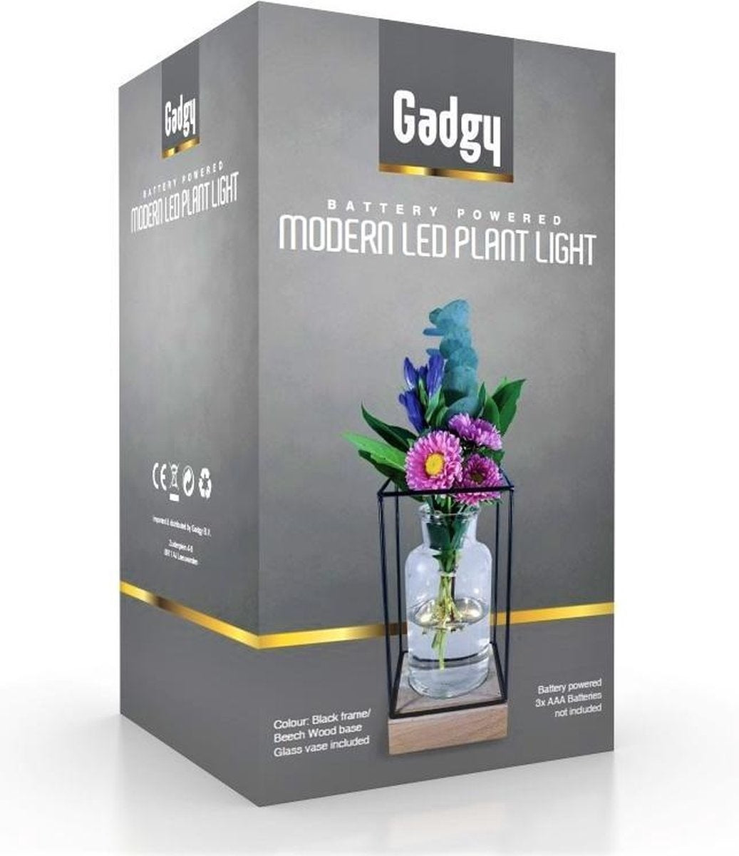 Gadgy Vase avec éclairage LED - Vase lampe - Vase en verre avec lampe - Cadeau de fête des mères - Hydroponique - Fonctionne avec des piles - Lampe de table - Ø11cm