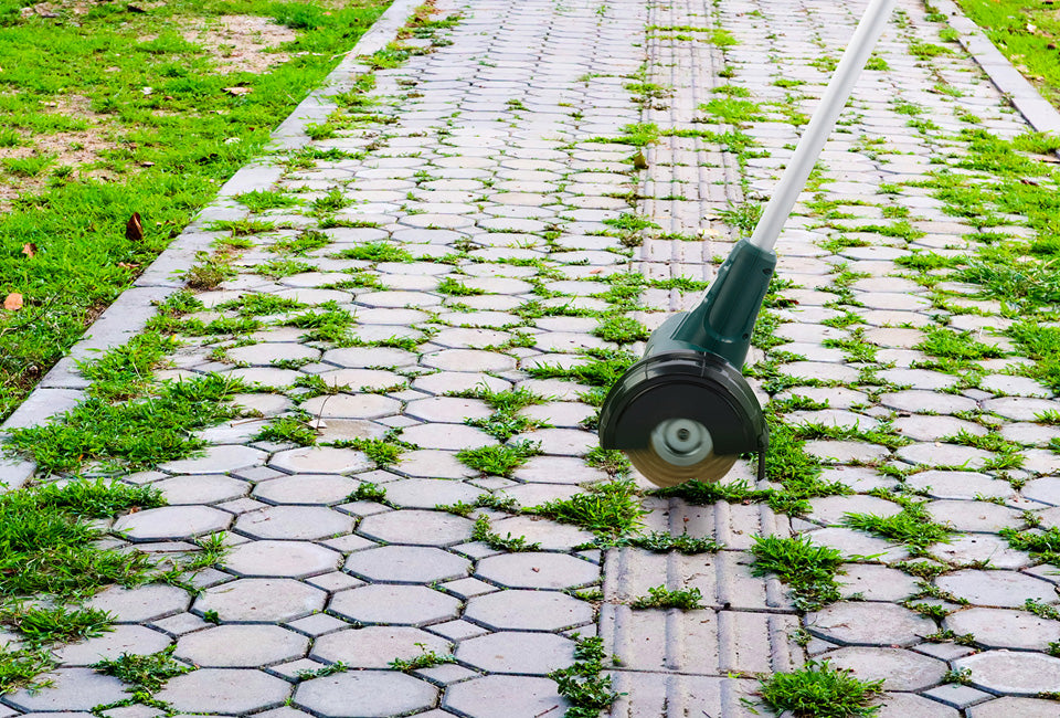 Brosse à désherber électrique - Hortensus