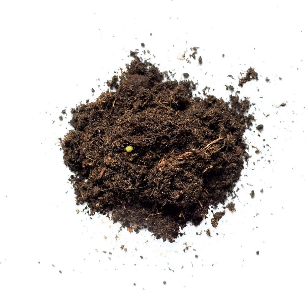 Pokon Plantes d'intérieur Terreau - 10l - Terreau (plantes d'intérieur) - 6 mois de nutrition