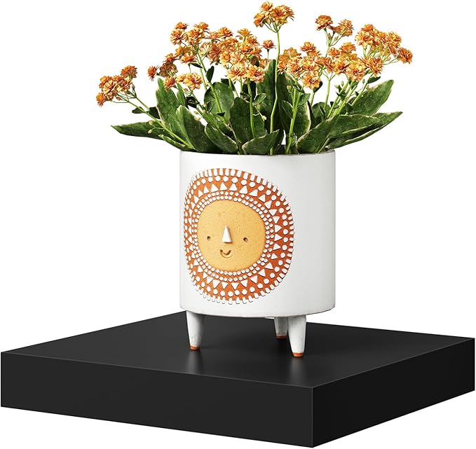 WOLTU RG9365sz - Etagère murale flottante - MDF - noir - 25 x 23 x 3,8 cm - max 10 kg