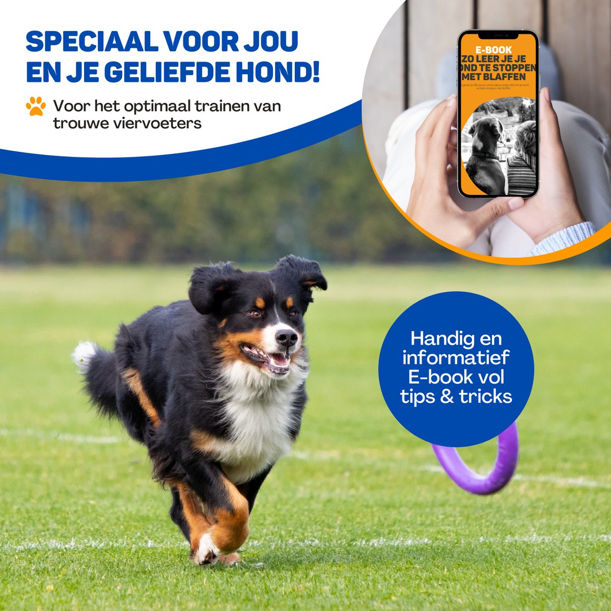 Vulpes Goods® Dispositif anti-aboiement à ultrasons MAX - 4 en 1 : dressage du chien, ultrasons, lampe de poche et lampe de poche - Gris, 16,5 x 3,2 x 2,8 cm - Pour petits et grands chiens