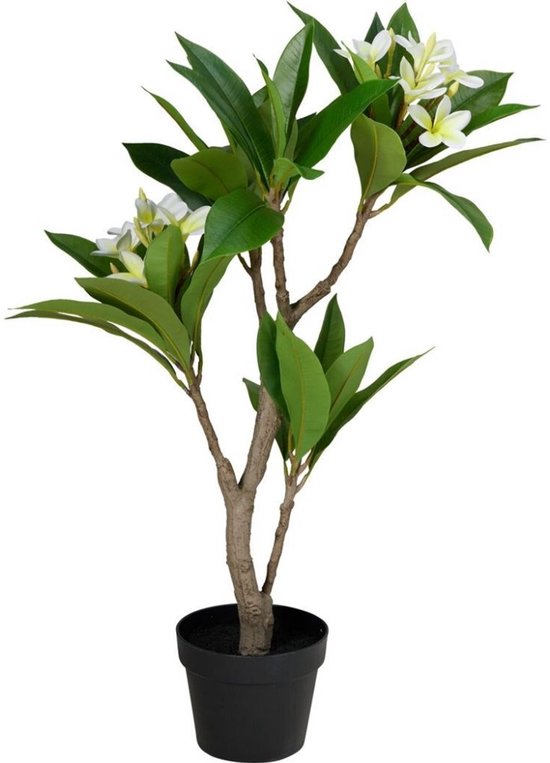 Plante artificielle Plumeria 50 x 90 cm Blanc/Vert