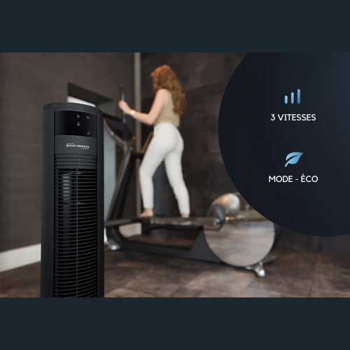 Ventilateur sur pied - JAP Appliances - silencieux (46dB) - avec télécommande - 6 niveaux - Noir mat