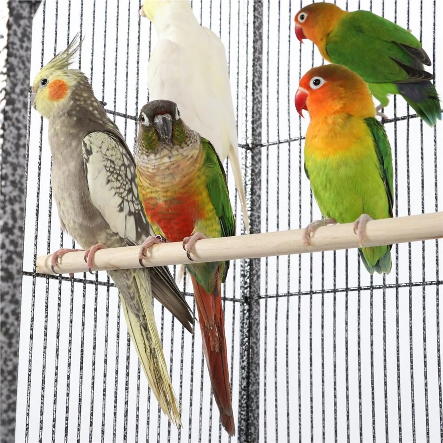Yaheetech Cage à oiseaux avec base mobile - équipée d'une cage amovible, de six portes d'accès et d'une étagère de rangement - pour perruches et perruches faucons - métal noir martelé - 81 x 47 x 160 cm