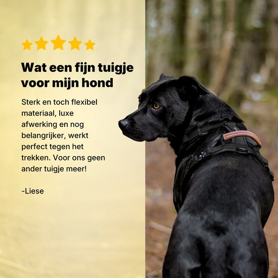 Harnais Jake et Jacky pour grands chiens - Harnais anti-traction - Harnais Y pour chien - Harnais pour chien - Noir - Taille L