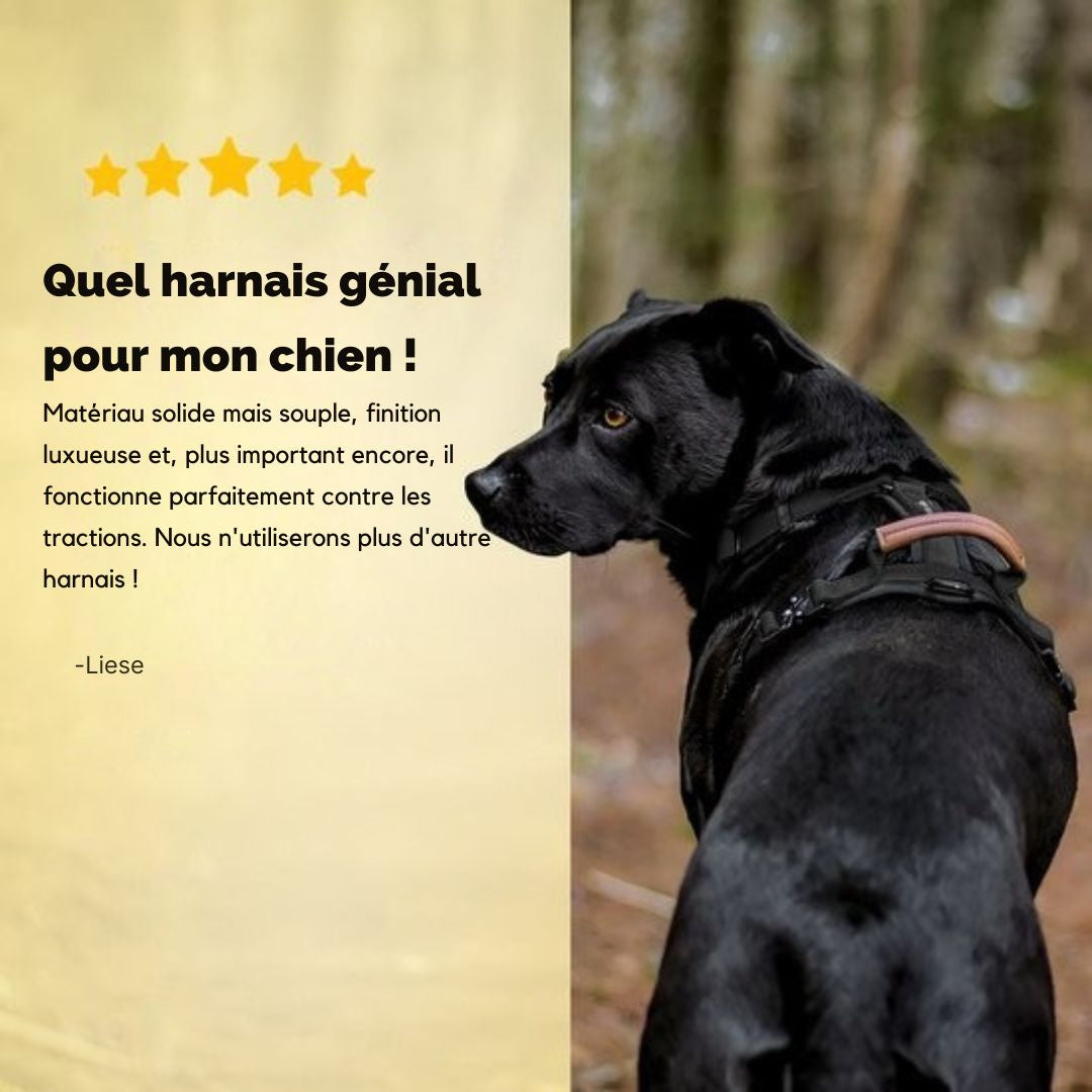 Harnais Jake et Jacky pour grands chiens - anti-traction - Taille L - Noir