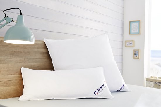 Balette - Oreiller en duvet de luxe - Oreiller en plumes de canard - 60x70 cm