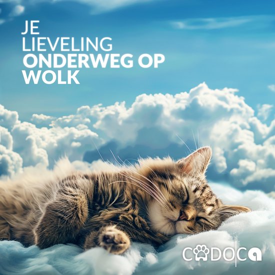 Sac à dos Cadoca pour chien - jusqu'à 20kg Réglable 31x30x41cm - Noir