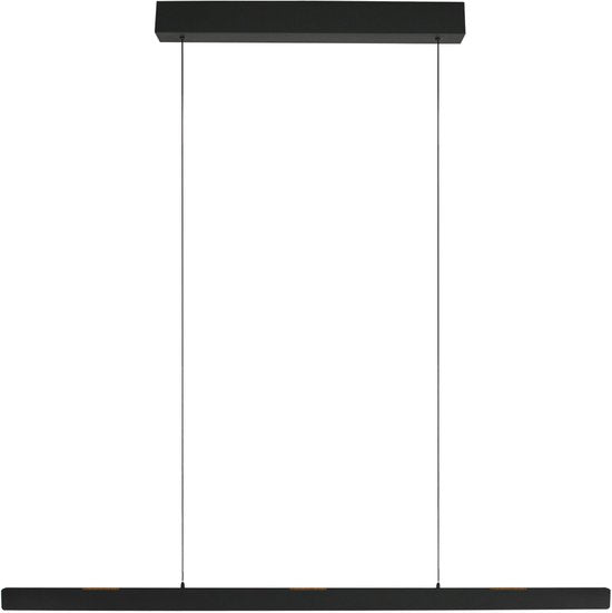 Steinhauer Exclusive - lampe suspendue - Fluxy - noir - métal - lampe design - LED - 4190ZW