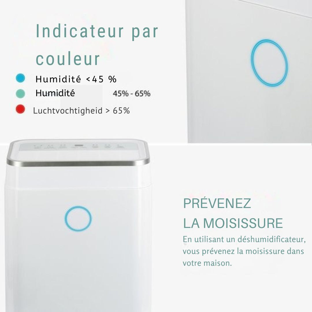 Déshumidificateur et purificateur d'air Aironex - Capacité de 20 l et fonction Lavage-Séchage - Extrêmement silencieux avec affichage LED - Pour le salon et la chambre - Plastique blanc
