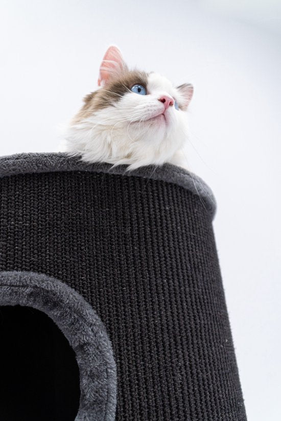 Petrebels Dome 80 Bac à griffer pour chat - Poivre - Ø 45 x 80 cm - stable