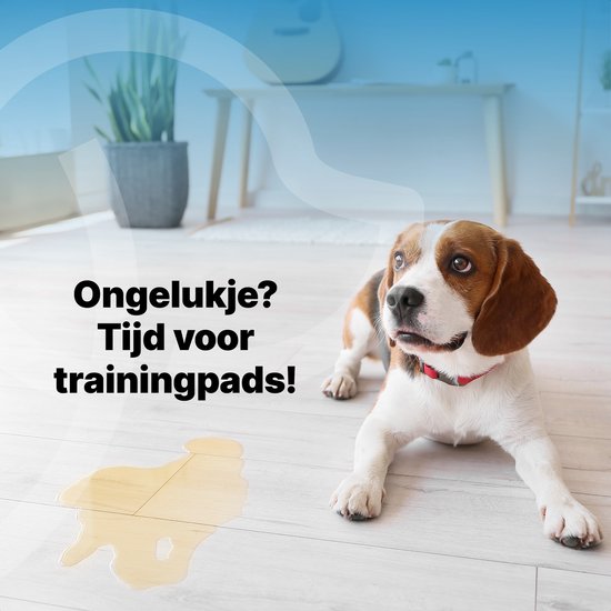 Jake and Jacky Puppy Training Pads - apprentissage de la propreté - toilettes pour chiens - XL - 60 x 90 cm - 120 pièces
