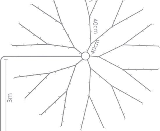 Speed Light LED - 330 LED - blanc - câble vert - modulateur - 24 V (pour arbres jusqu'à 240 cm)