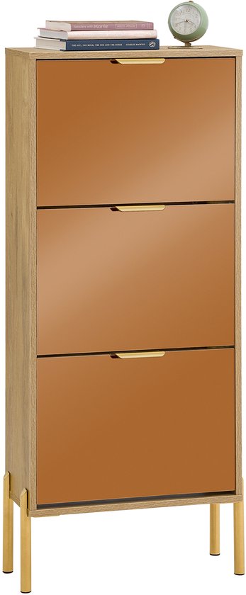 SoBuy FSR181-H-G Meuble à chaussures - Bois composite doré pour entrée