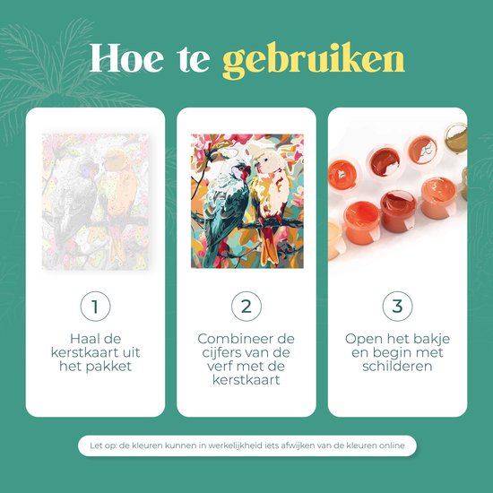 Rubye® Peinture sur toile - Perroquets pour adultes et enfants - 40x50cm