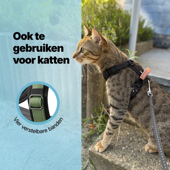 Harnais Jake et Jacky pour petit chien - Harnais anti-traction - Harnais pour chat - Harnais Y pour chien - Harnais pour petit chien - Harnais pour chat - Vert - Taille XS