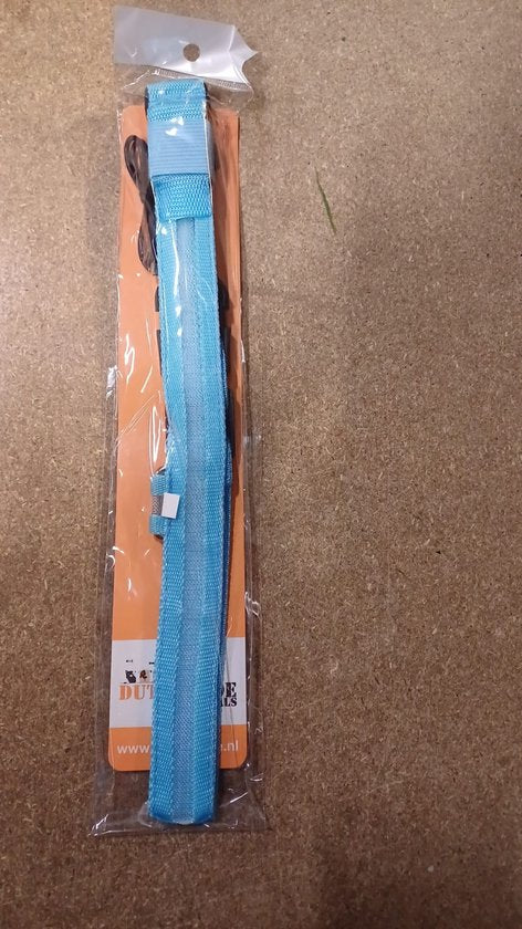 Dutchwide Collier lumineux pour chien - Extra fort - M 37 cm à 46 cm - Collier pour chien - Collier à mousqueton - Ajustable - Réfléchissant