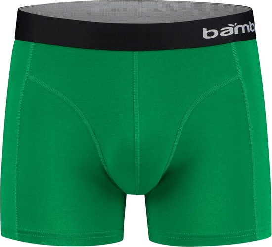 Caleçon boxeur en bambou pour hommes, bleu/vert, paquet de 2 - Taille XL