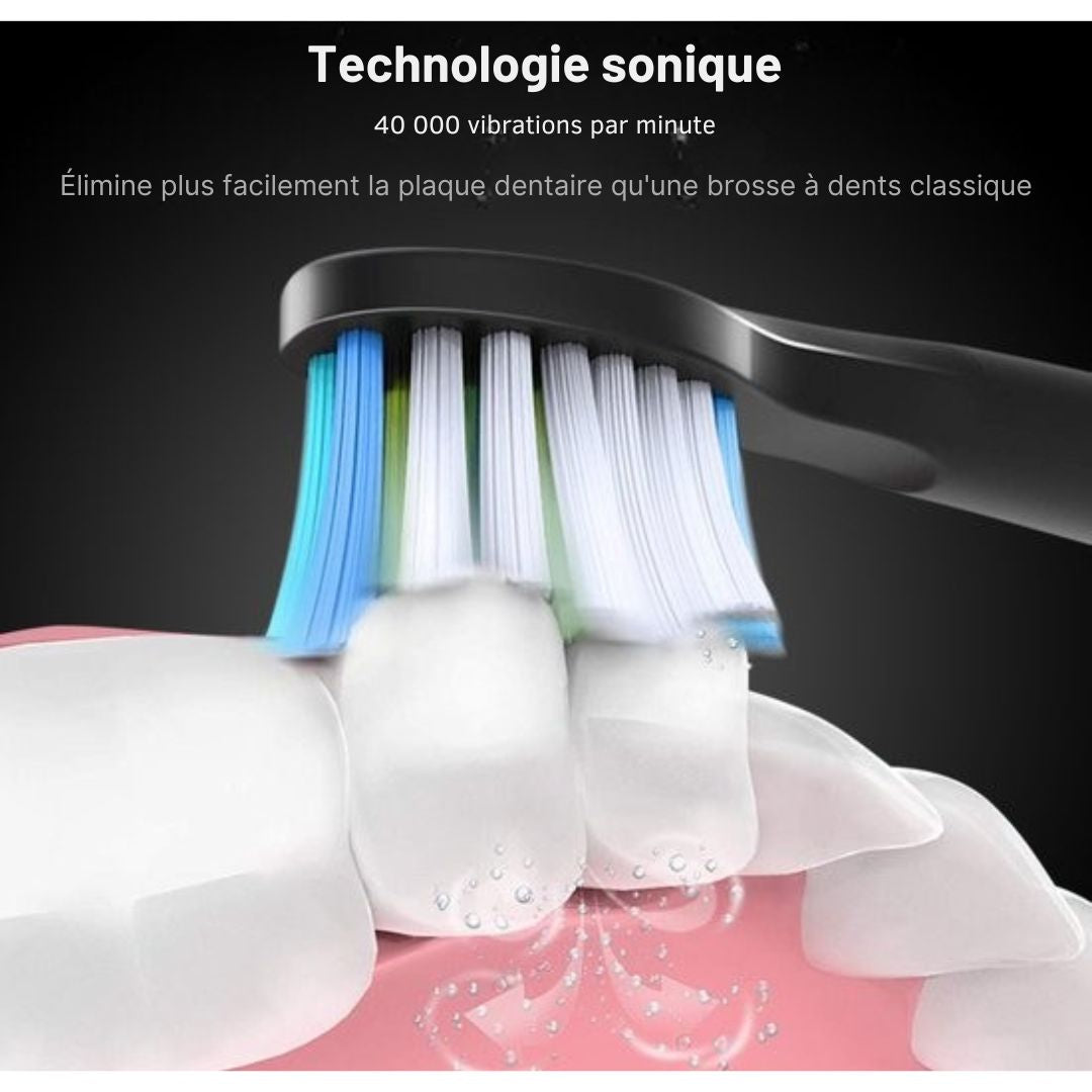 Têtes de brosse à dents électrique - Bintoi® iSonic ProClean - 3 pièces - Convient à Bintoi iSonic D700/D600 - Approvisionnement annuel - Noir