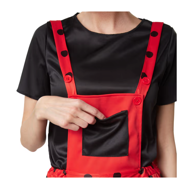 DressForFun - Costume de coccinelle Marina - Taille S - Polyester rouge et noir - Pantalon et T-shirt de jardin à pois - Jambières et ornement de cheveux inclus - Costume de carnaval pour dames