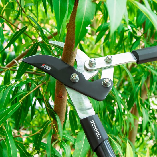 VONROC Loppers - télescopique - longueur : 63.5 - 85 cm - mâchoire de perroquet - avec revêtement anti-adhérent ILAG - pour branches jusqu'à Ø25mm
