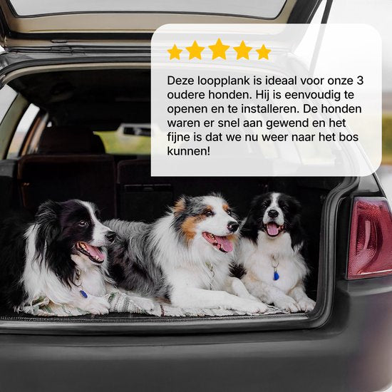 Jake et Jacky : Rampe d'accès pour chien - Escalier pliable pour chien - Rampe antidérapante pour grands chiens - Pliable - Réfléchissante - 180 x 55 cm - Poids maximal : 70 kg