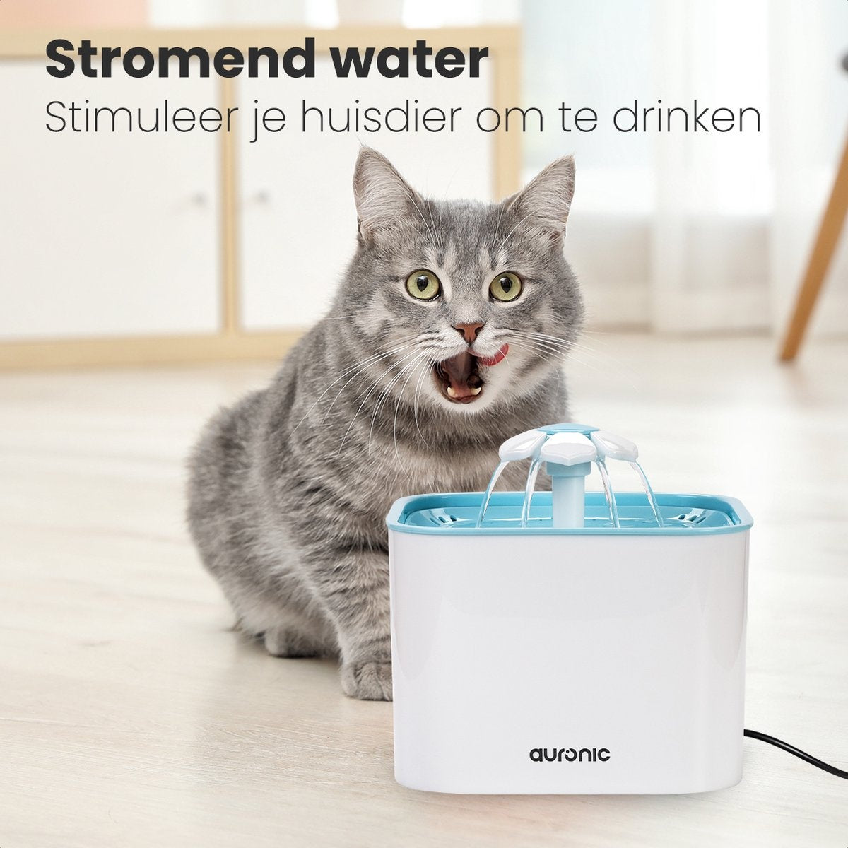 Auronic Drinking Fountain - Fontaine à eau pour chats et chiens - 2L - Abreuvoir pour animaux - 4 filtres inclus - Noir