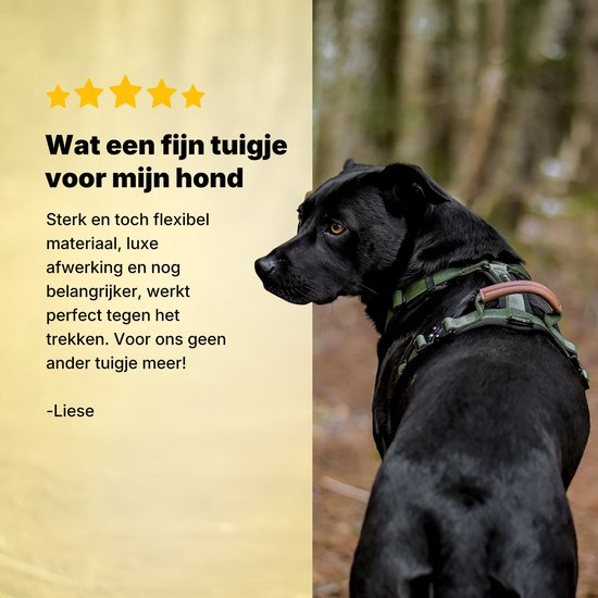 Harnais Jake and Jacky Dog Medium - Harnais Anti-Traction - Harnais Y pour chien - Harnais pour chien - Vert - Taille M