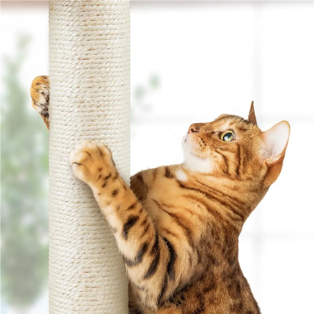 Arbre à chat de plafond Yaheetech 226-265,5 cm - Gris foncé - Arbre à chat réglable à 5 niveaux