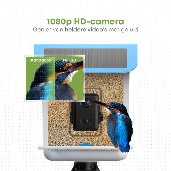 Quadrupède - Mangeoire à oiseaux - Niche à oiseaux avec caméra - Reconnaissance des oiseaux par l'IA - 1080 HD - Audio