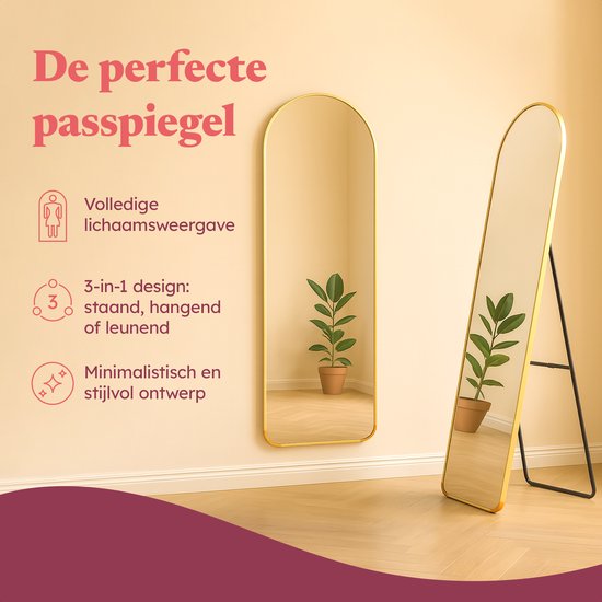 Fraay Pass Mirror 160x55cm - Standing & Hanging - Minimalist Wall Mirror - Standing Mirror - Brushed Gold