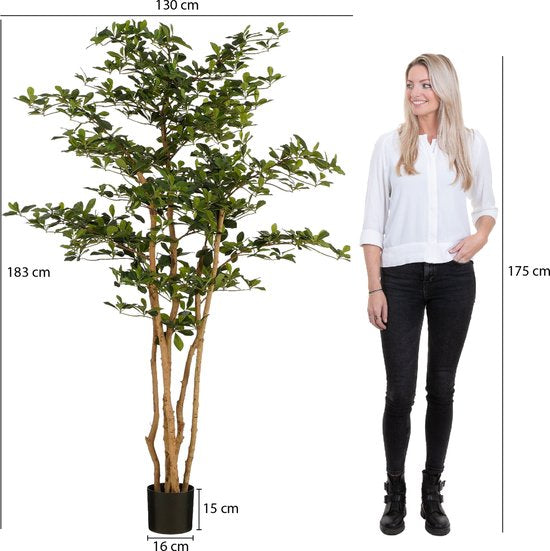 Olivier artificiel en pot - Mica Decorations - H183 x Ø130 cm - Vert