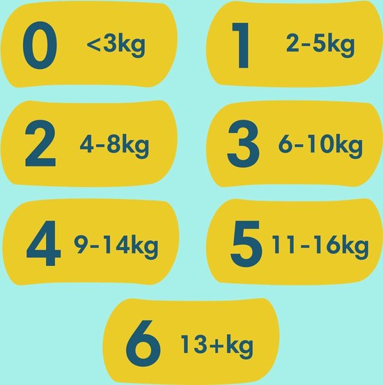 Pampers - Premium Protection - Taille 4 - Méga-pack - 78 couches - 9/14 kg