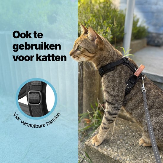 Harnais Jake et Jacky pour petit chien - Harnais anti-traction - Harnais pour chat - Harnais Y pour chien - Harnais pour petit chien - Harnais pour chat - Noir - Taille XS