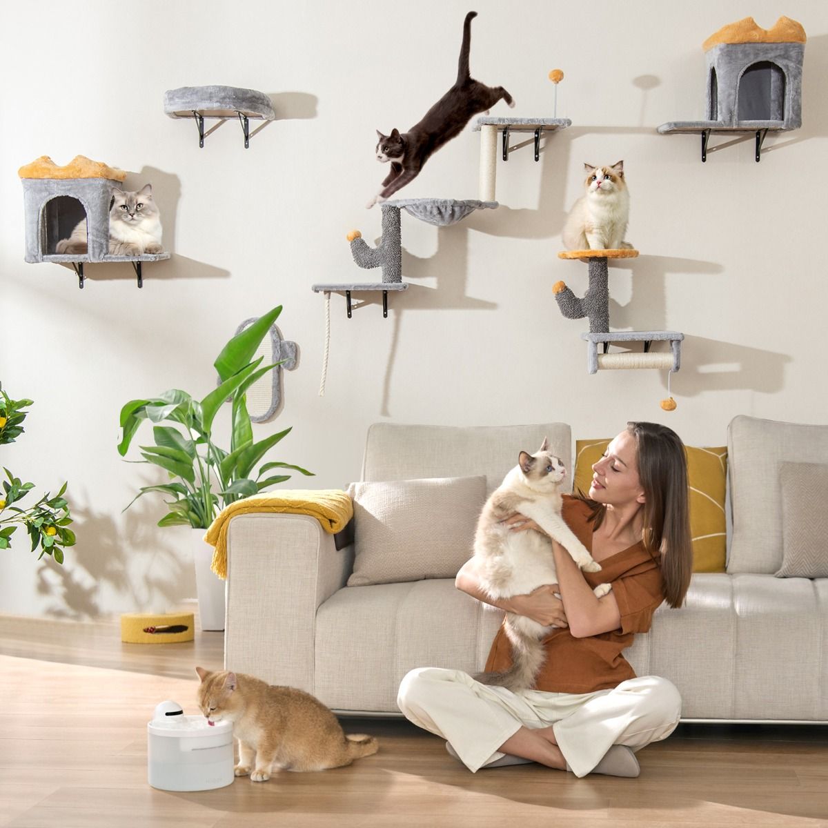 Ensemble de tours pour chats à fixer au mur Coast - Peu encombrant - Plateforme à 2 niveaux - Gris